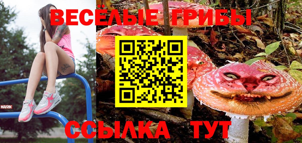 Псилоцибиновые грибы Psilocybine cubensis  Вход с VPN  Выкса 